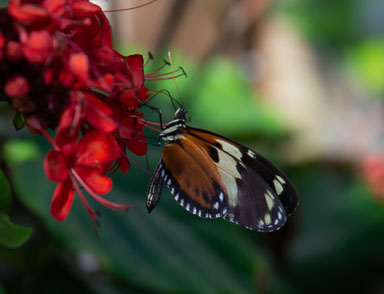 DSC_7968.jpg