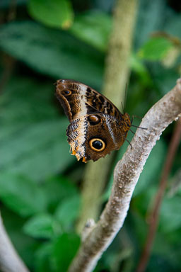 DSC_7983.jpg