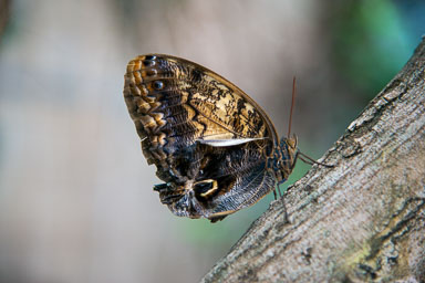 DSC_7996.jpg
