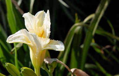 DSC_9783.jpg