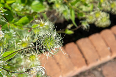 DSC_9788.jpg