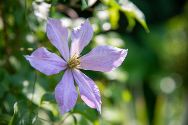 DSC_9832.jpg