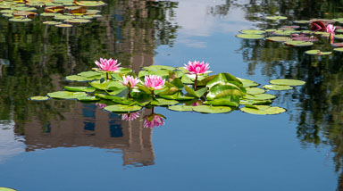 DSC_9837.jpg