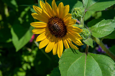 DSC_9857.jpg