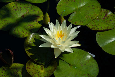 DSC_9864.jpg