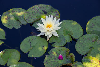 DSC_9865.jpg