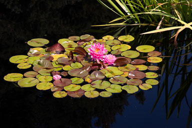 DSC_9866.jpg