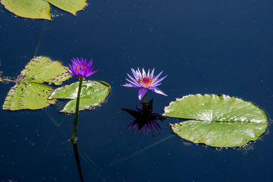 DSC_9870.jpg