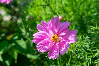 DSC_9881.jpg