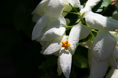 DSC_9886.jpg