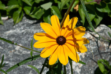 DSC_9917.jpg