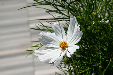 DSC_9924.jpg