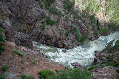 DSC_9350.jpg