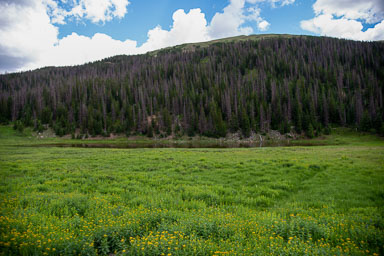 DSC_0020-Edit.jpg