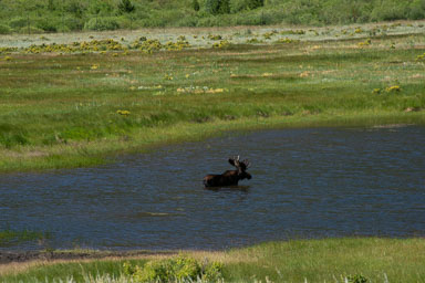 DSC_9953-Edit.jpg