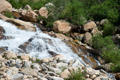 DSC_9981-Edit.jpg