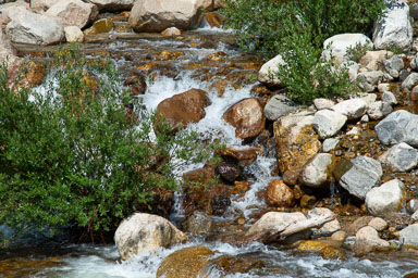 DSC_9984-Edit.jpg