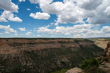 DSC_9494.jpg