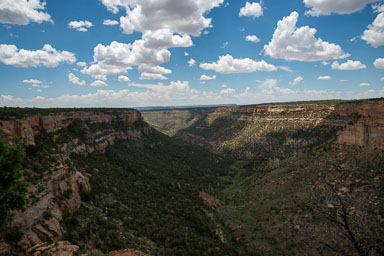 DSC_9495.jpg