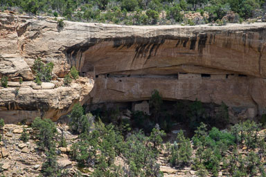 DSC_9496.jpg