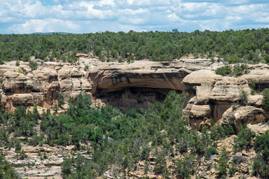 DSC_9503.jpg