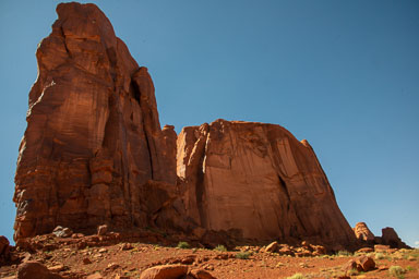 DSC_8799.jpg