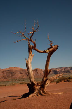 DSC_8822.jpg