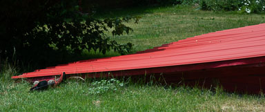 DSC_9542.jpg