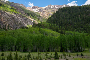 DSC_9655.jpg