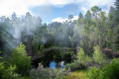 DSC_9312.jpg
