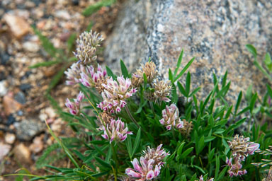 DSC_9716.jpg