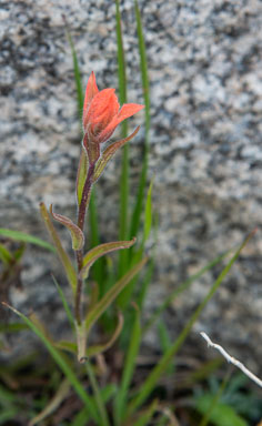 DSC_9738.jpg