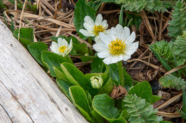 DSC_9756.jpg
