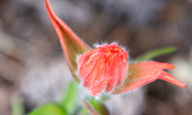 DSC_9779.jpg